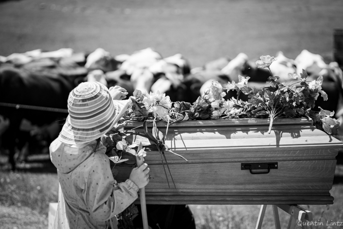 depose de fleurs sur cercueil 4
