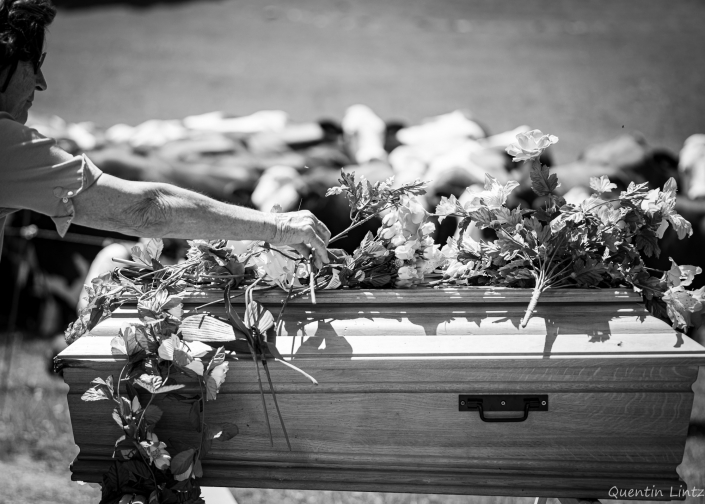 depose de fleurs sur cercueil 3